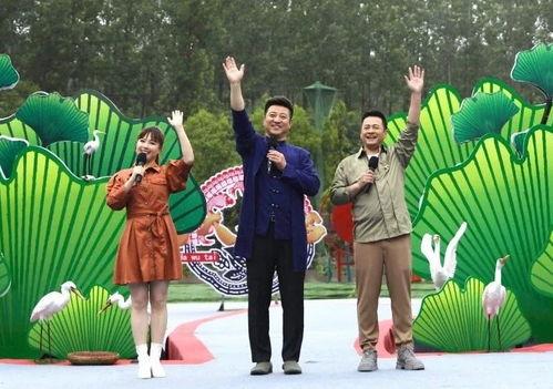 梦幻巴黎最新爆料视频,揭秘璀璨夜景与浪漫风情